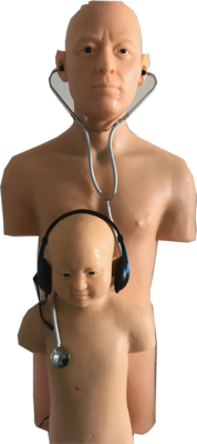 儿童心肺听诊模拟人